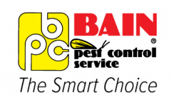 click here