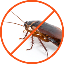 pest control enfield