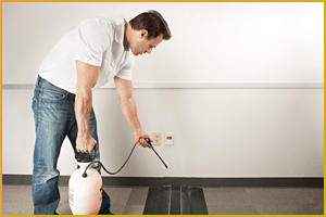 pest control essex