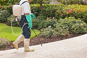 pest control luton