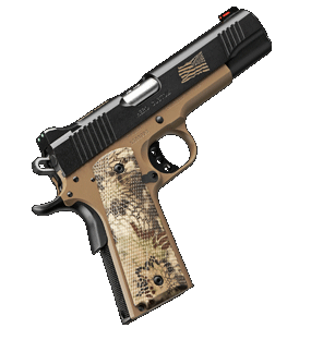buy Kimber 1911